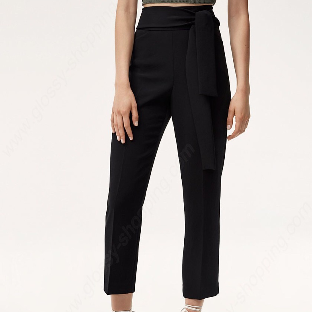 Aritzia Wilfred Geneva Pant